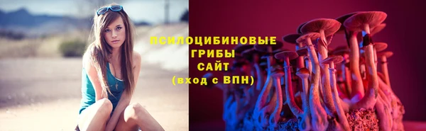 гашик Алзамай