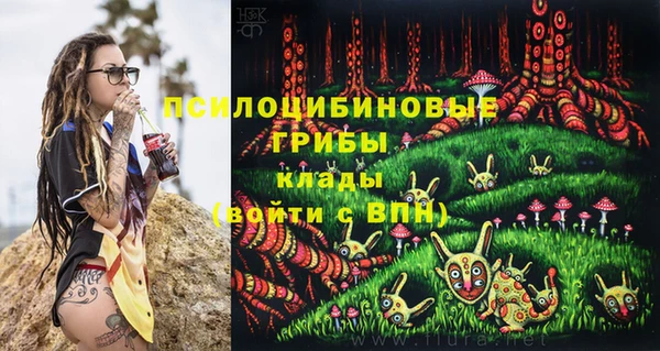 гашик Алзамай