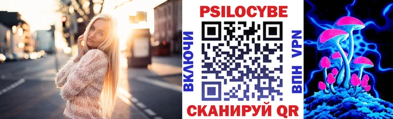 Галлюциногенные грибы Psilocybe Лесосибирск